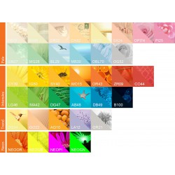 IQ Color barevný papír A4/80g mix trendových barev, 5x50 ks