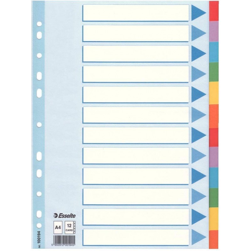 Kartonové rozlišovače A4 Esselte Standard, 12 barevných listů