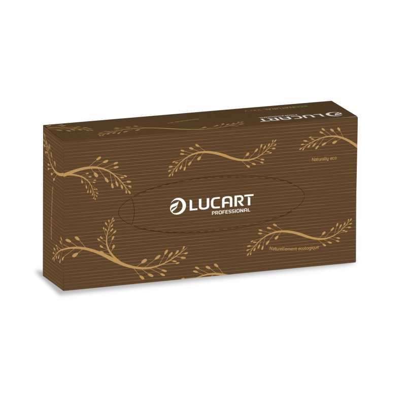 Lucart EcoNatural, vytahovací kapesníčky, přírodní, 2-vrstvé, 100 ks